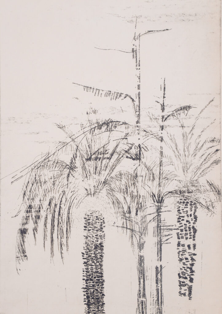 Paisaje obra 28 2