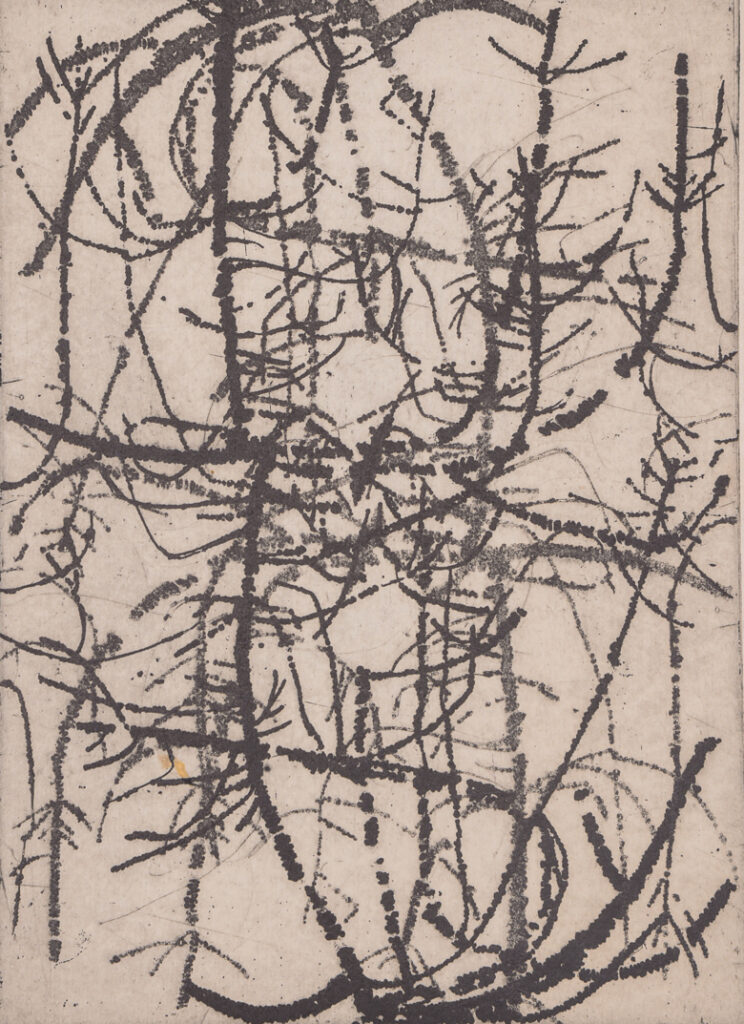 Higuera obra 31 2