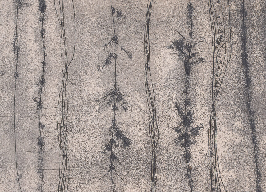 Enredaderas