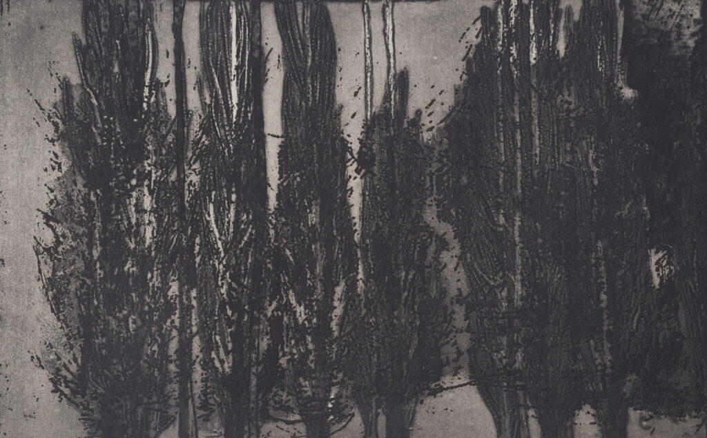 obra 36 2