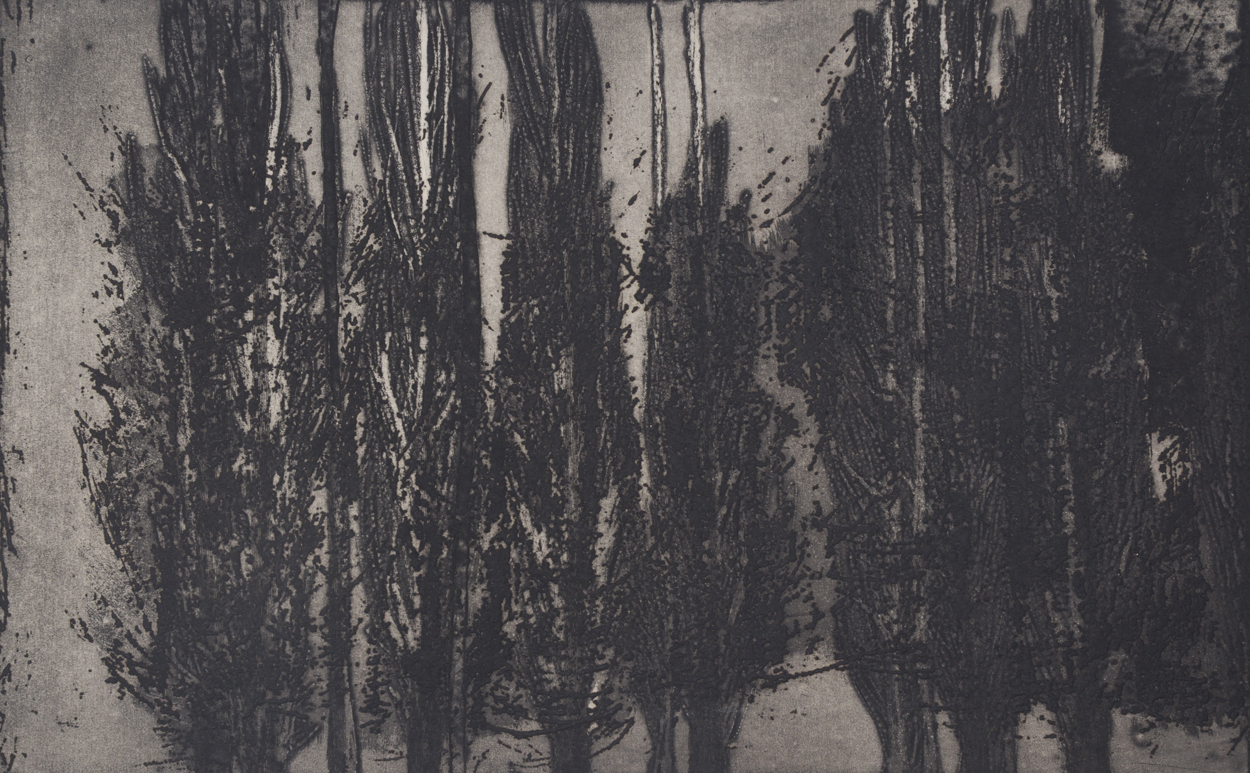 obra 36 1