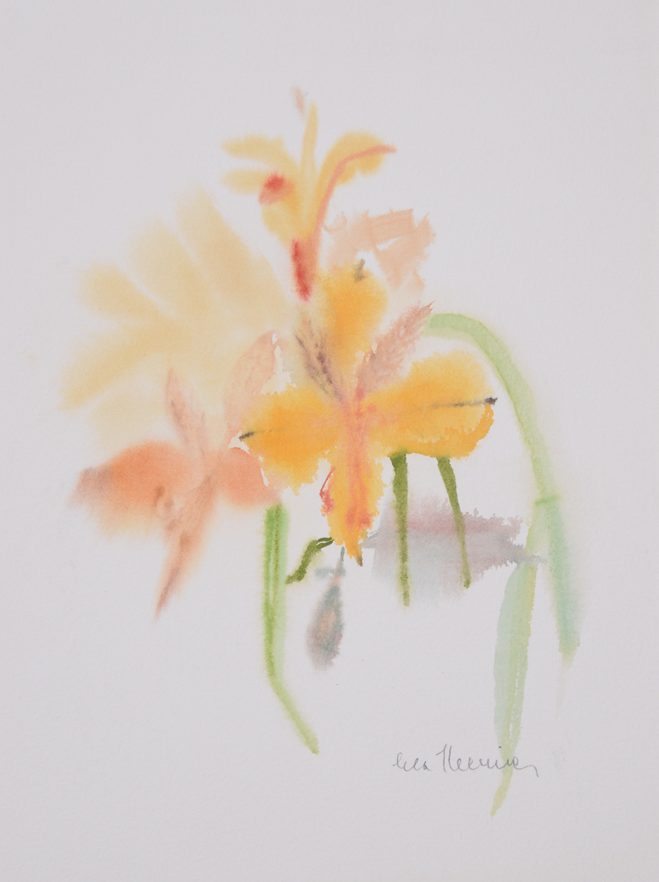 Alstroemeria (con flor)