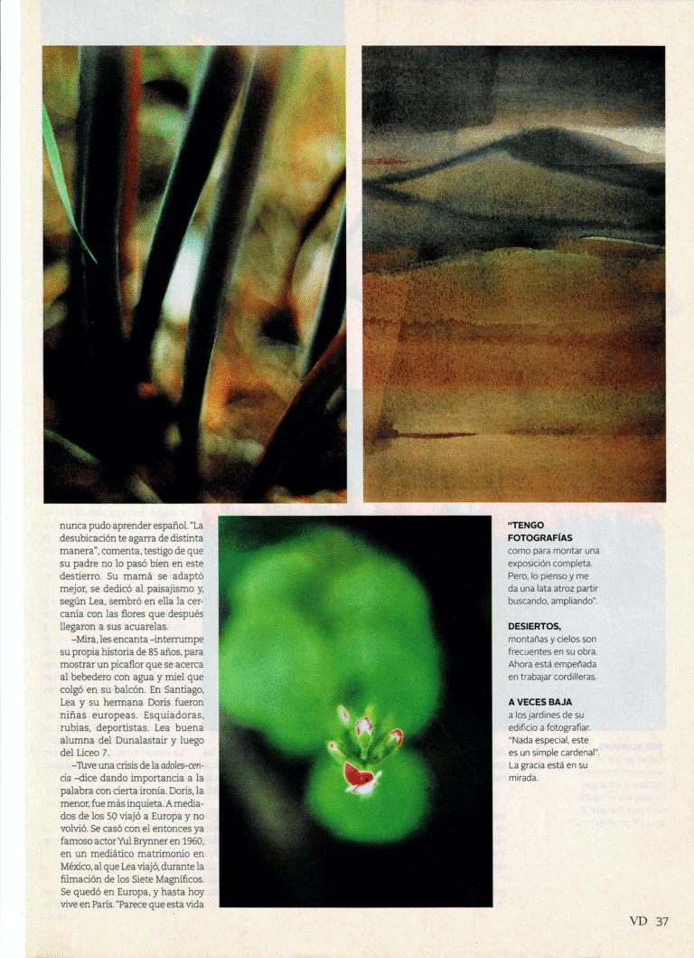 Prensa vd 2014 página 4